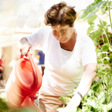 Eine alte Frau gießt ihre Blumen